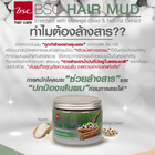 BSC hair care Hair Mud 400 กรัม โคลนหมักผมสำหรับล้างสารเคมี ดีท็อกซ์และบำรุงในขั้นตอนเดียว
