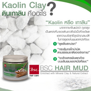 BSC hair care Hair Mud 400 กรัม โคลนหมักผมสำหรับล้างสารเคมี ดีท็อกซ์และบำรุงในขั้นตอนเดียว