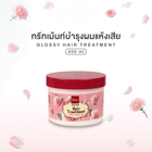 แว็กซ์บำรุงผม BSC Hair Care Glossy Hair Treatment ขนาด 400g สำหรับผมแห้งเสียมาก